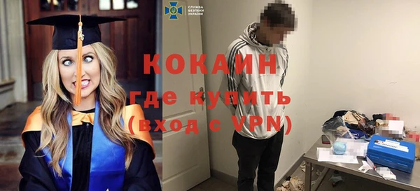 стаф Осинники