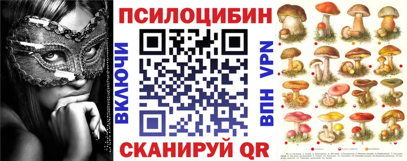Псилоцибиновые грибы Magic Shrooms  Купить закладки  Кыштым 
