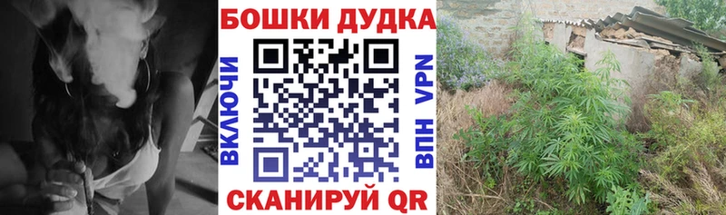 Купить  Кыштым  МАРИХУАНА конопля 
